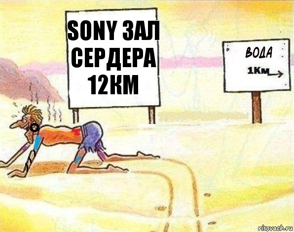 Sony зал
Сердера
12км