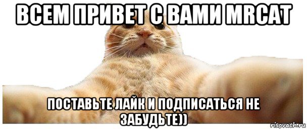 всем привет с вами mrcat поставьте лайк и подписаться не забудьте)), Мем   Кэтсвилл