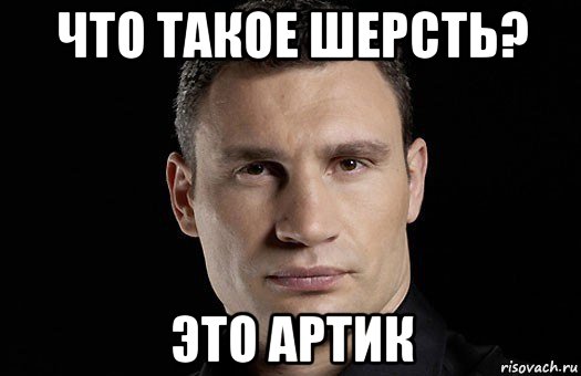 что такое шерсть? это артик, Мем Кличко