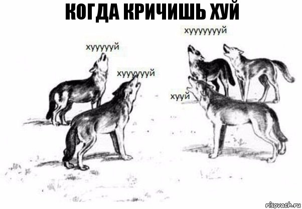 когда кричишь хуй, Комикс Когда хочешь