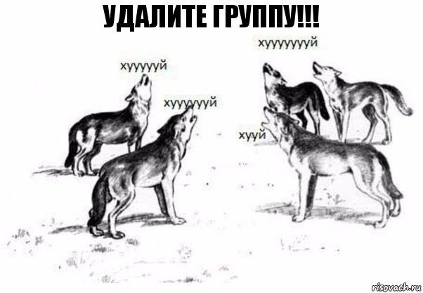 Удалите группу!!!, Комикс Когда хочешь