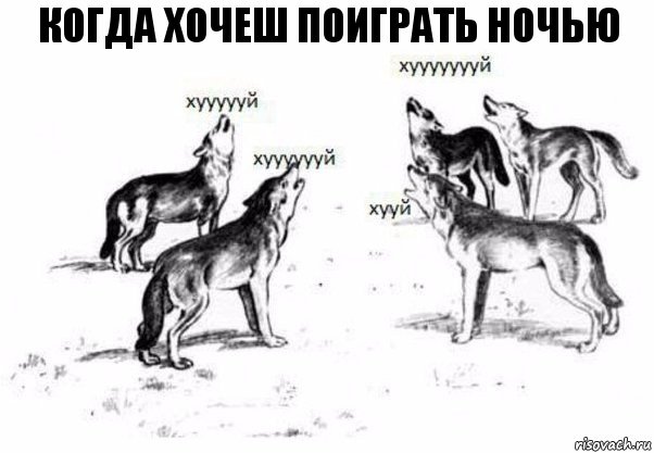 когда хочеш поиграть ночью