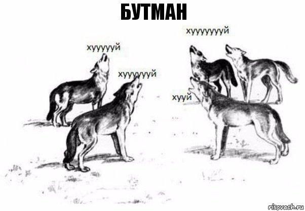 бутман