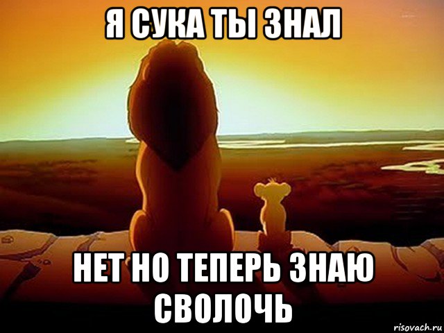 я сука ты знал нет но теперь знаю сволочь, Мем  король лев