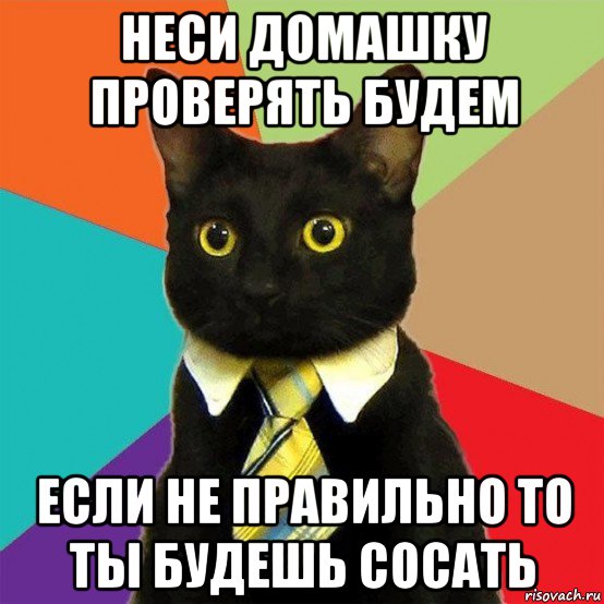 неси домашку проверять будем если не правильно то ты будешь сосать, Мем  Кошечка