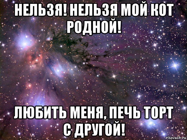 нельзя! нельзя мой кот родной! любить меня, печь торт с другой!, Мем Космос