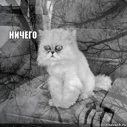        Ничего  , Комикс  кот безысходность