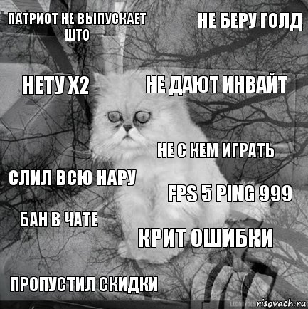 Патриот не выпускает што Fps 5 Ping 999 Не дают инвайт Пропустил скидки Слил всю нару Не беру голд Крит ошибки Нету х2 Бан в чате Не с кем играть, Комикс  кот безысходность