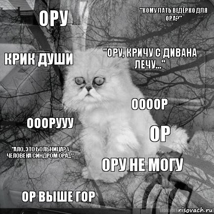 Ору ор "Ору, кричу с дивана лечу..." ор выше гор ооорууу "Кому лать ведёрко для ора?" Ору не могу Крик души "ало, это больница? у человека синдром ора..." оооор