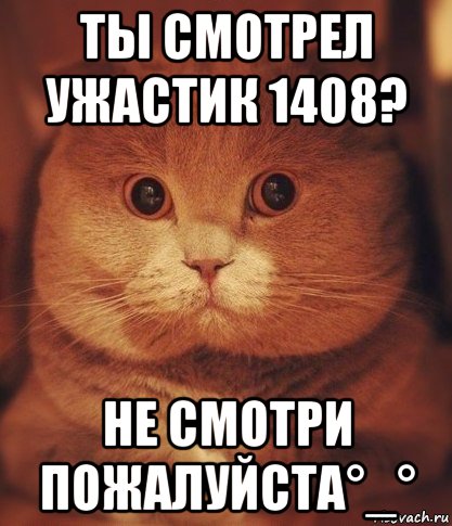 ты смотрел ужастик 1408? не смотри пожалуйста°_°