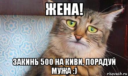 жена! закинь 500 на киви, порадуй мужа :), Мем  кот печаль