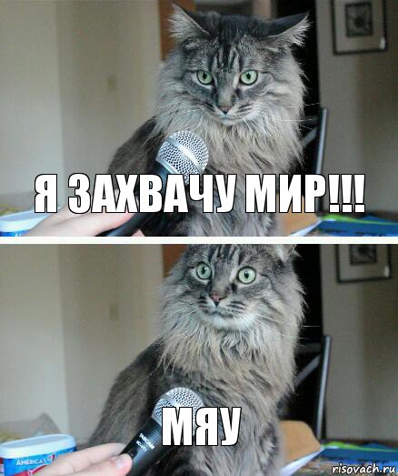 Я захвачу мир!!! мяу, Комикс  кот с микрофоном