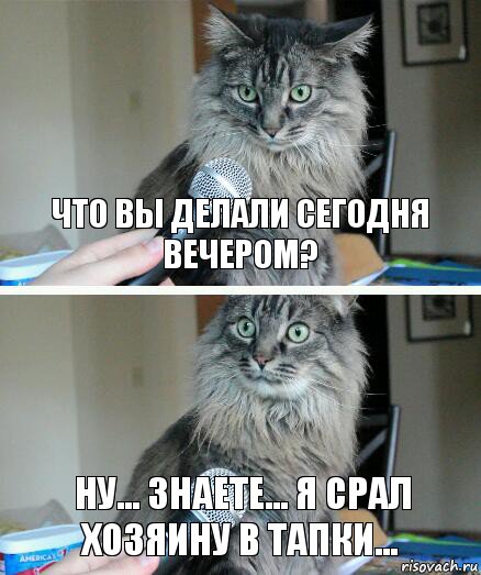 ЧТО ВЫ ДЕЛАЛИ СЕГОДНЯ ВЕЧЕРОМ? НУ... ЗНАЕТЕ... Я СРАЛ ХОЗЯИНУ В ТАПКИ..., Комикс  кот с микрофоном