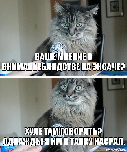 ваше мнение о вниманиеблядстве на эксаче? хуле там говорить?
однажды я им в тапку насрал., Комикс  кот с микрофоном