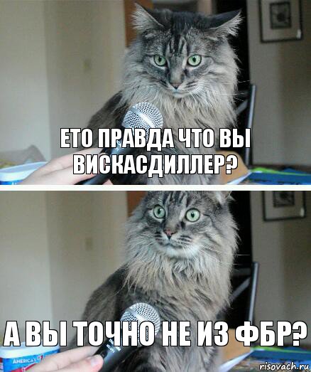 Ето правда что вы вискасдиллер? а вы точно не из фбр?, Комикс  кот с микрофоном