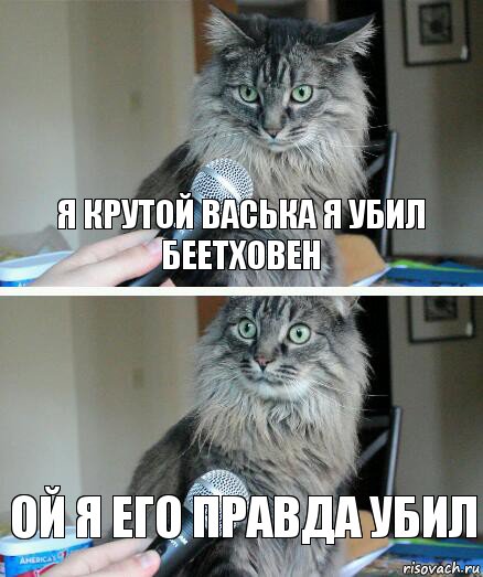 я крутой васька я убил беетховен ой я его правда убил, Комикс  кот с микрофоном