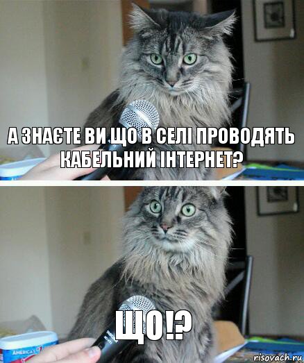 А знаєте ви що в селі проводять кабельний інтернет? ЩО!?, Комикс  кот с микрофоном