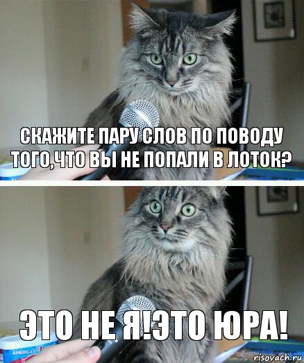 Скажите пару слов по поводу того,что вы не попали в лоток? Это не я!это Юра!, Комикс  кот с микрофоном