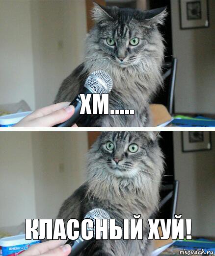 ХМ..... Классный хуй!, Комикс  кот с микрофоном