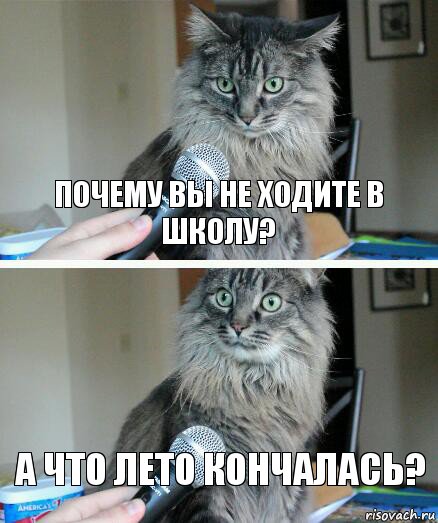 Почему вы не ходите в школу? А что лето кончалась?, Комикс  кот с микрофоном