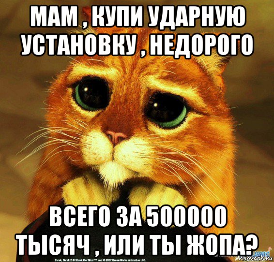 мам , купи ударную установку , недорого всего за 500000 тысяч , или ты жопа?, Мем Котик из Шрека