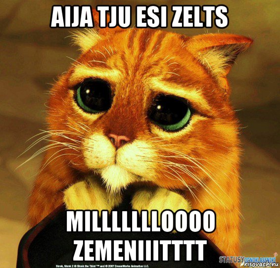 aija tju esi zelts millllllloooo zemeniiitttt, Мем Котик из Шрека