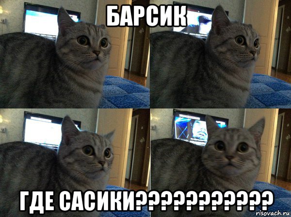 барсик где сасики???????????, Мем  Кот в шоке