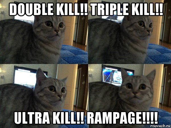 double kill!! triple kill!! ultra kill!! rampage!!!!, Мем  Кот в шоке