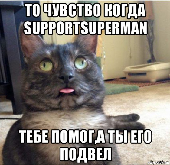 то чувство когда supportsuperman тебе помог,а ты его подвел, Мем   Кот завис