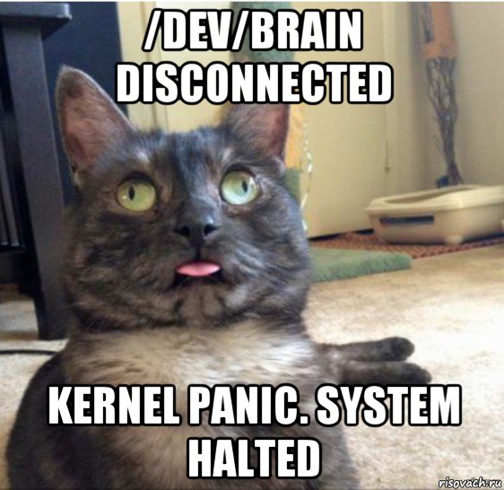 /dev/brain disconnected kernel panic. system halted, Мем   Кот завис