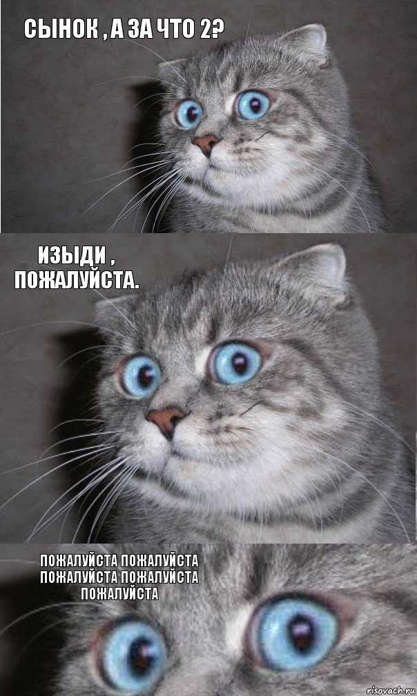 Сынок , а за что 2? Изыди , пожалуйста. Пожалуйста пожалуйста пожалуйста пожалуйста пожалуйста, Комикс  котейка