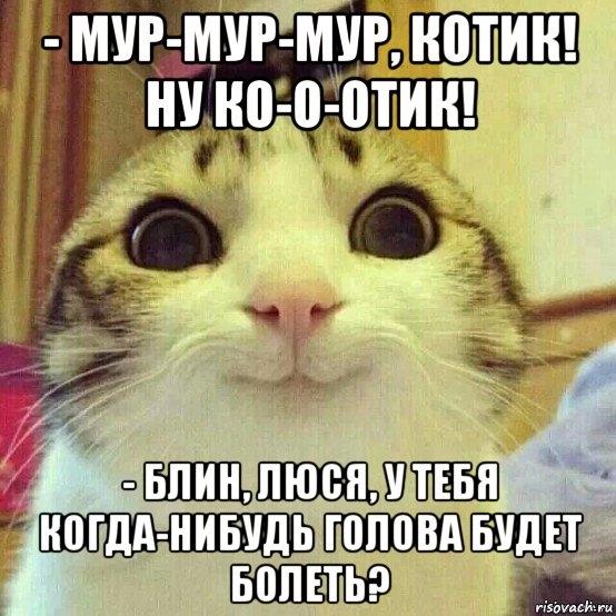 - мур-мур-мур, котик! ну ко-о-отик! - блин, люся, у тебя когда-нибудь голова будет болеть?, Мем       Котяка-улыбака