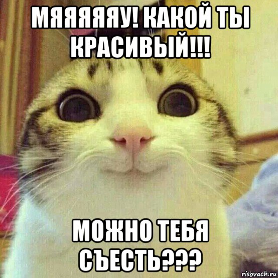 мяяяяяу! какой ты красивый!!! можно тебя съесть???, Мем       Котяка-улыбака