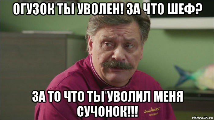 огузок ты уволен! за что шеф? за то что ты уволил меня сучонок!!!, Мем Кухня