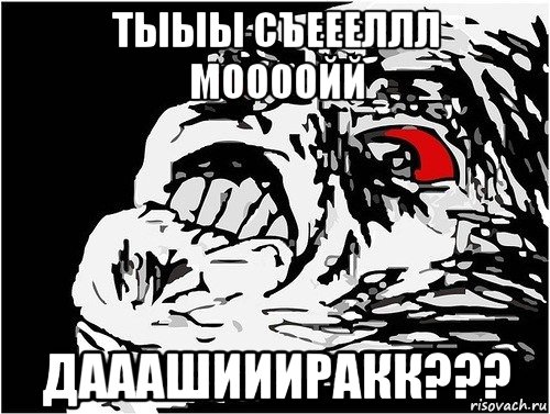 тыыы съеееллл моооойй дааашиииракк???