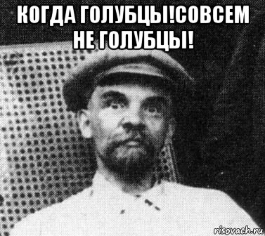 когда голубцы!совсем не голубцы! , Мем   Ленин удивлен