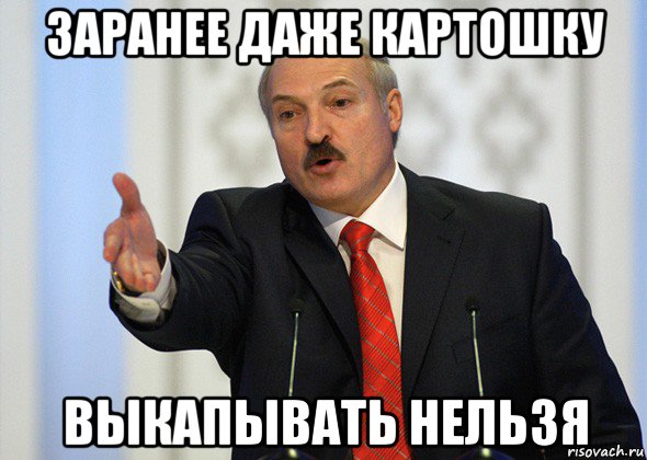 заранее даже картошку выкапывать нельзя, Мем лукашенко