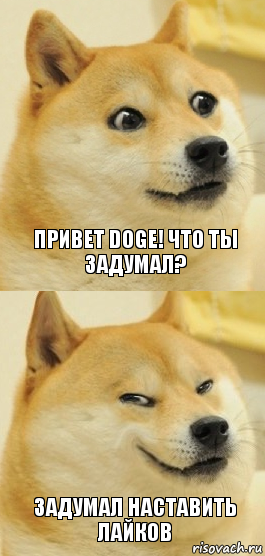 Привет Doge! что ты задумал? Задумал наставить лайков, Комикс   DOGE довольный