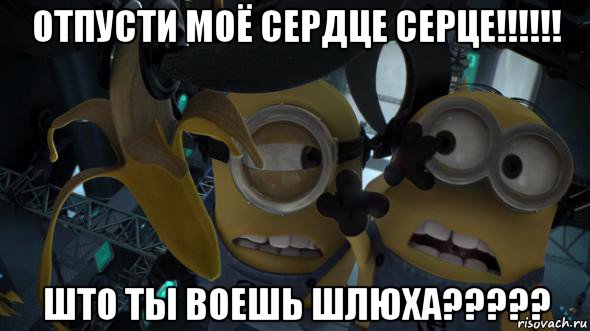 отпусти моё сердце серце!!!!!! што ты воешь шлюха?????