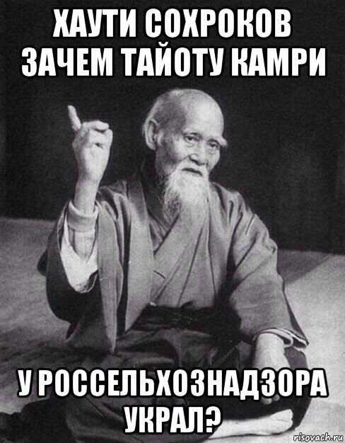хаути сохроков зачем тайоту камри у россельхознадзора украл?, Мем Монах-мудрец (сэнсей)