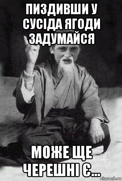 пиздивши у сусіда ягоди задумайся може ще черешні є..., Мем Мудрий паца