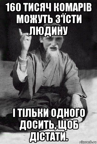 160 тисяч комарів можуть з'їсти людину і тільки одного досить, щоб дістати., Мем Мудрий паца