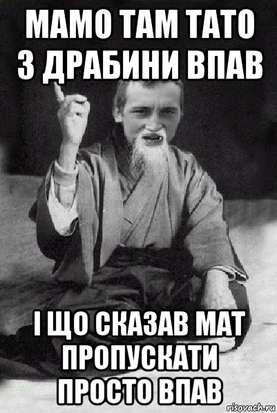 мамо там тато з драбини впав і що сказав мат пропускати просто впав, Мем Мудрий паца