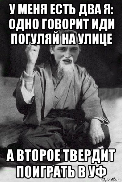 у меня есть два я: одно говорит иди погуляй на улице а второе твердит поиграть в уф, Мем Мудрий паца