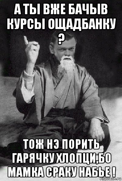 а ты вже бачыв курсы ощадбанку ? тож нэ порить гарячку хлопци,бо мамка сраку набье !, Мем Мудрий Виталька