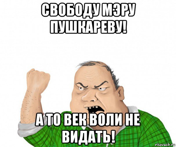 свободу мэру пушкареву! а то век воли не видать!, Мем мужик