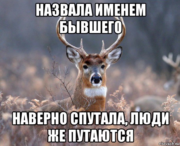 назвала именем бывшего наверно спутала, люди же путаются, Мем   Наивный олень