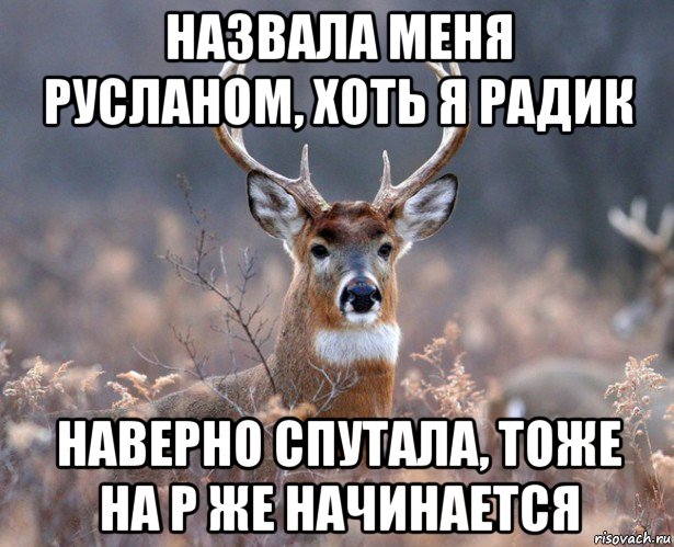 назвала меня русланом, хоть я радик наверно спутала, тоже на р же начинается, Мем   Наивный олень