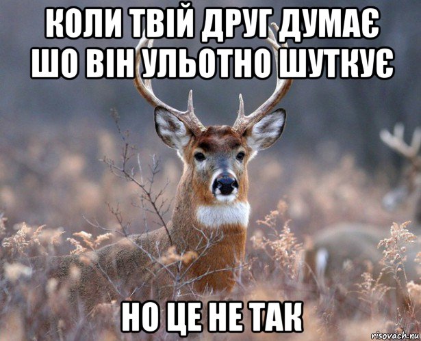 коли твій друг думає шо він ульотно шуткує но це не так, Мем   Наивный олень