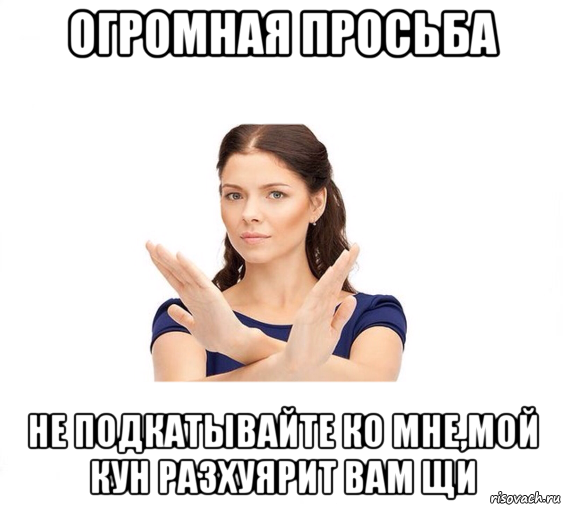 огромная просьба не подкатывайте ко мне,мой кун разхуярит вам щи, Мем Не зовите